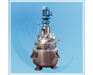 Pilot Reactor